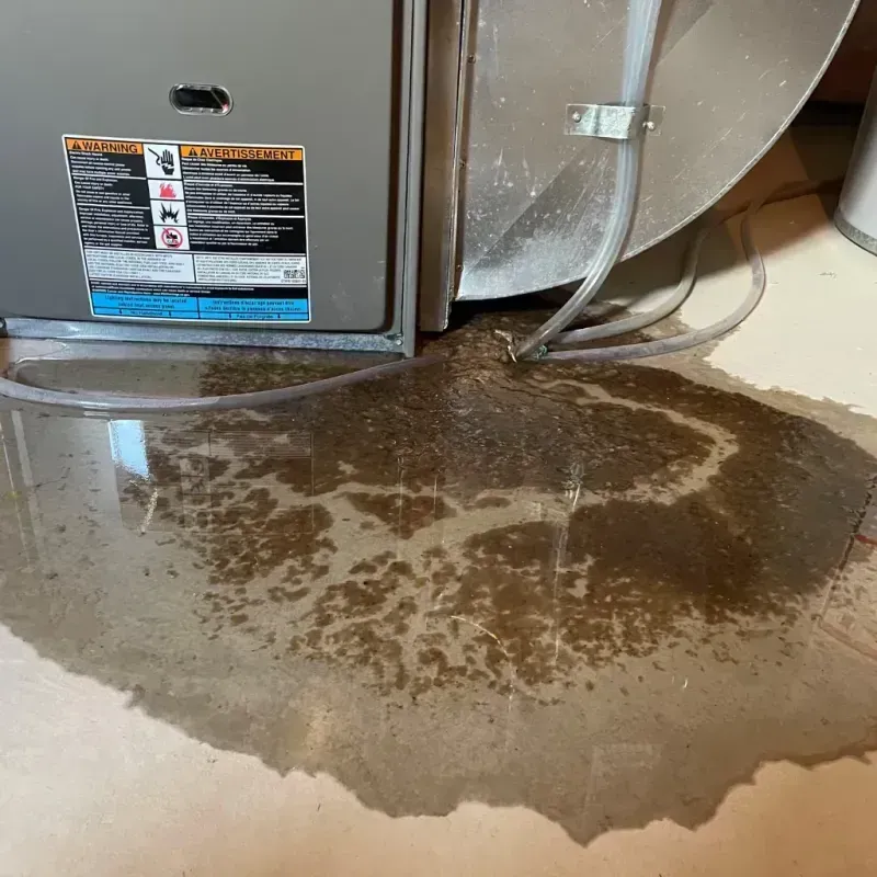 Appliance Leak Cleanup in Upton County, TX